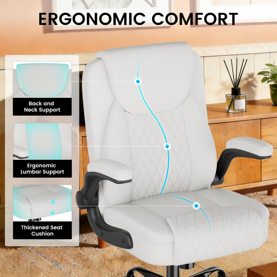 Office Chair CH228