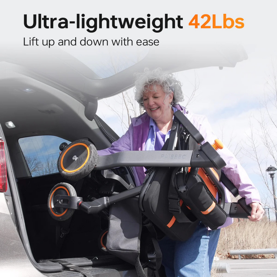 Paiseec W1 2-in-1 Electric Wheelchair