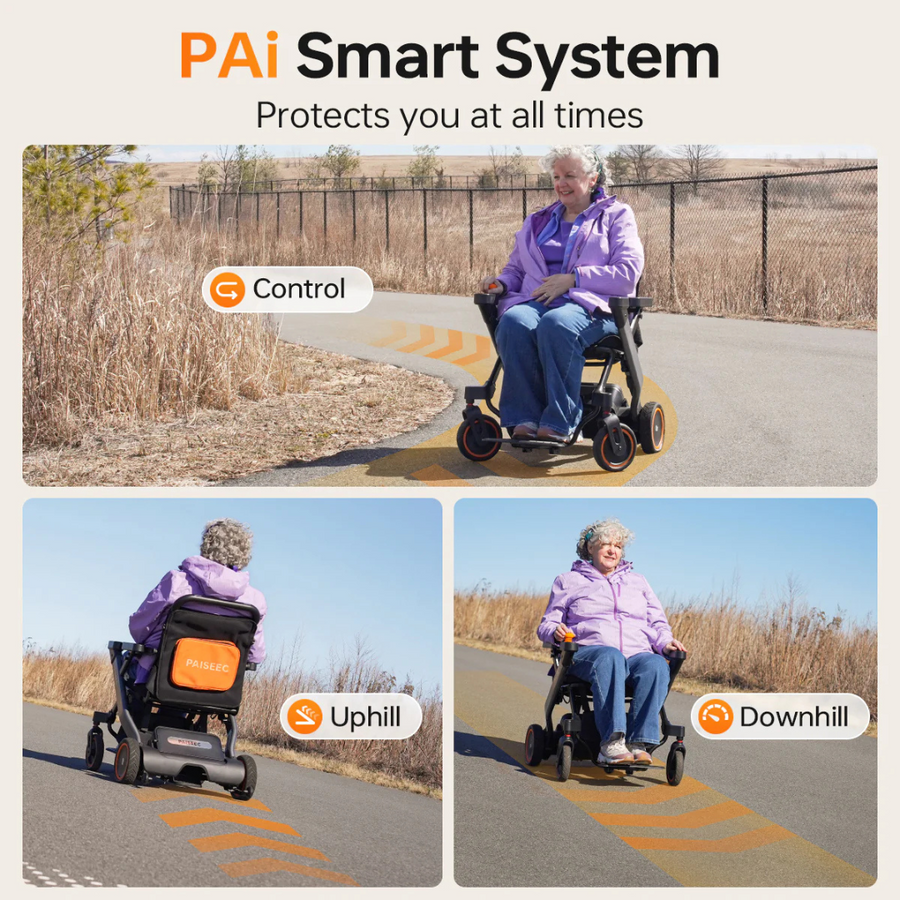 Paiseec W1 2-in-1 Electric Wheelchair