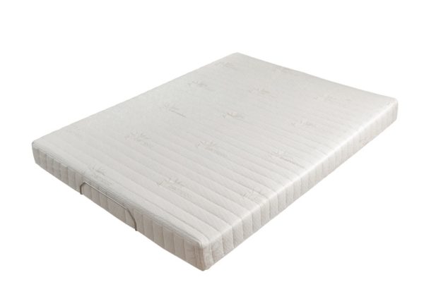 Transfer Master Companion SHD 2 Function Super Heavy Duty Bed