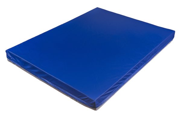 Transfer Master Companion HD 2 Function Bariatric Bed