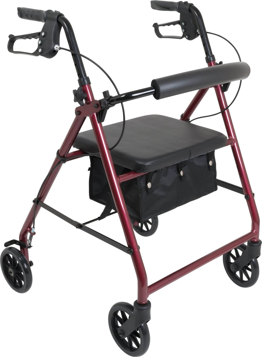 ProBasics Aluminum Rollator with 6-inch Wheels