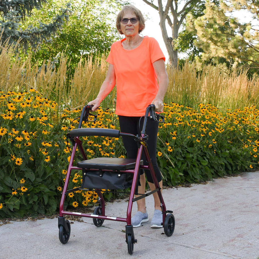 ProBasics Aluminum Rollator with 6-inch Wheels