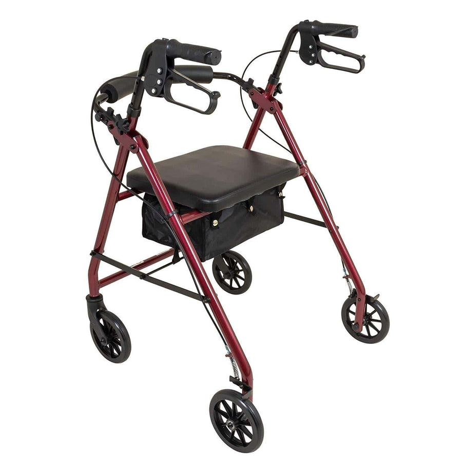 ProBasics Aluminum Rollator with 6-inch Wheels