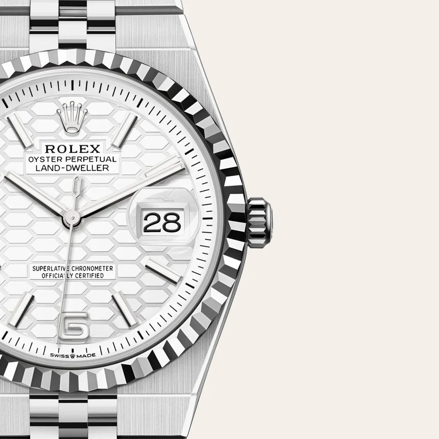 Land-Dweller 36mm Oystersteel & White Gold M127234-0001