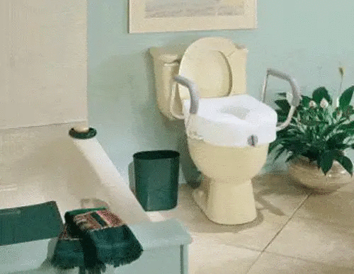 EZ Lock Raised Toilet Seat with Non Adjustable Handles