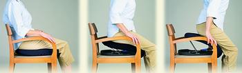 Uplift Seat Assist, Lifts 80 to 230 lbs - 17"W x 19"D