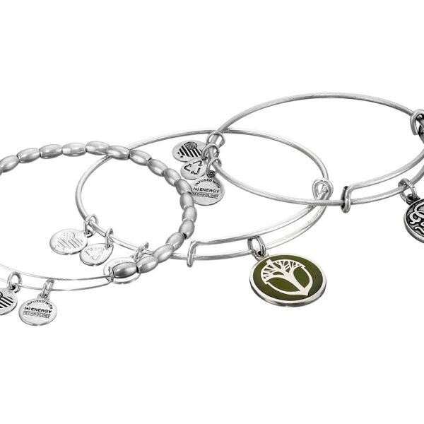 Alex and Ani Path of Life Holiday Rafaelian Silver Bangle Bracelet