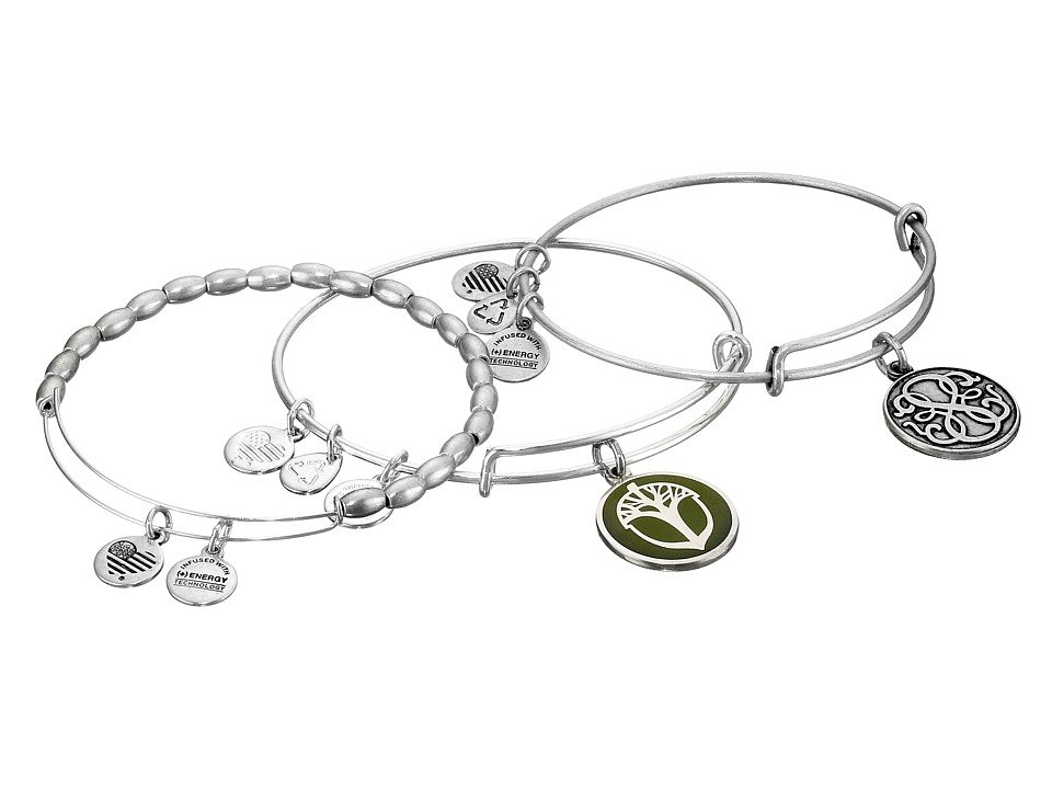 Alex and Ani Path of Life Holiday Rafaelian Silver Bangle Bracelet